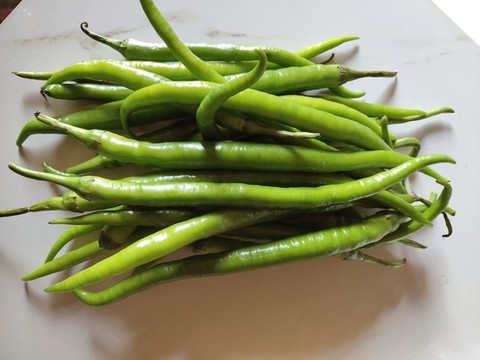 青椒