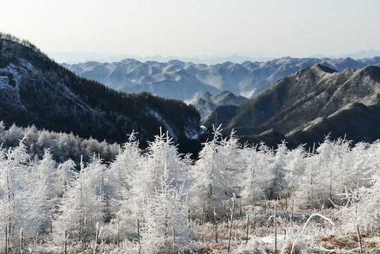五峰獨嶺雪景