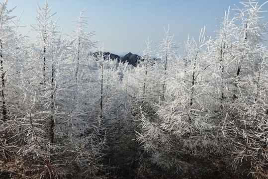 五峰獨(dú)嶺雪景