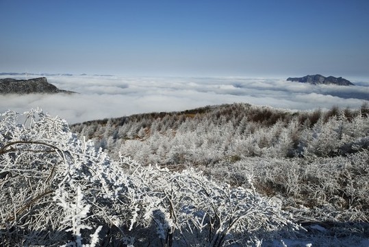 五峰獨嶺雪景