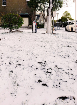 白雪覆蓋的草坪