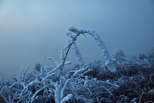 五峰獨嶺雪景