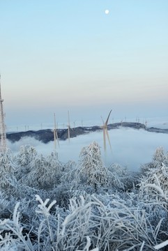 五峰獨嶺云海雪景風光