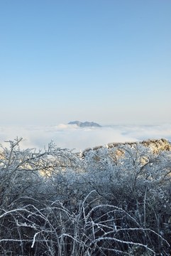 五峰獨(dú)嶺云海雪景風(fēng)光