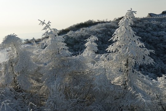 五峰獨嶺雪景