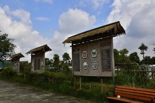 戰(zhàn)旗村