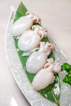 小墨魚