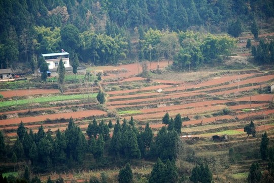 鄉(xiāng)村農(nóng)家