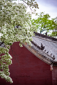 山東濟南靈巖寺