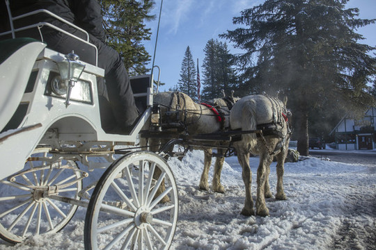 雪地里的復古馬車