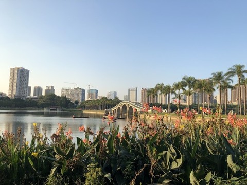 午后陽光