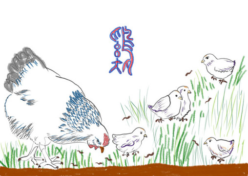 生肖雞