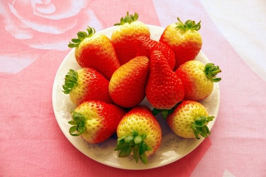 草莓