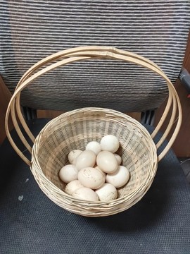 竹籃子里的雞蛋