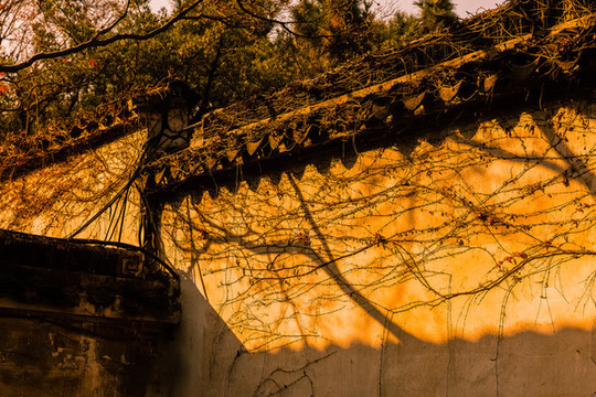 園林建筑