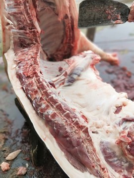 豬肉