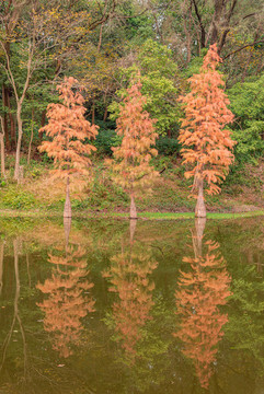 番禺大夫山森林公園