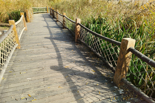 奧森公園的秋天