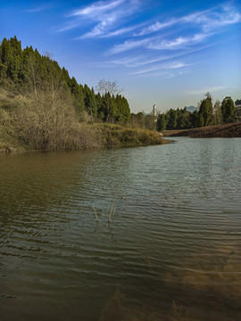 鄉(xiāng)村小景