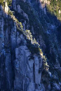 黃山冬景