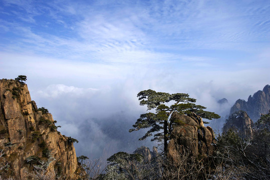 黃山冬景