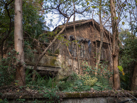 杭州歷史建筑杭大新村