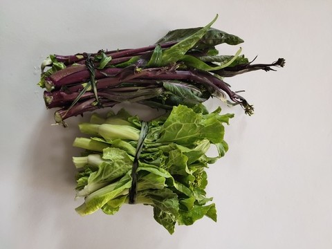 新鮮蔬菜