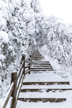 香爐山雪景