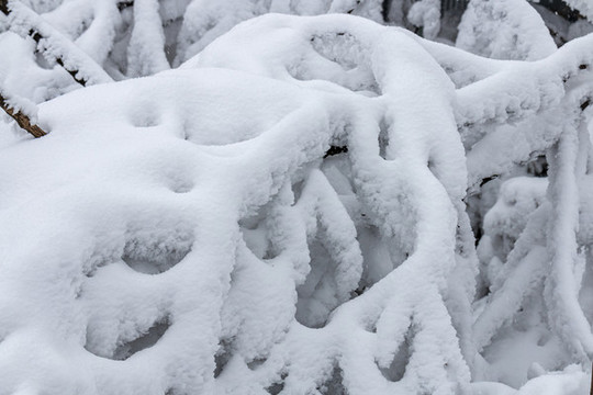 山地雪景