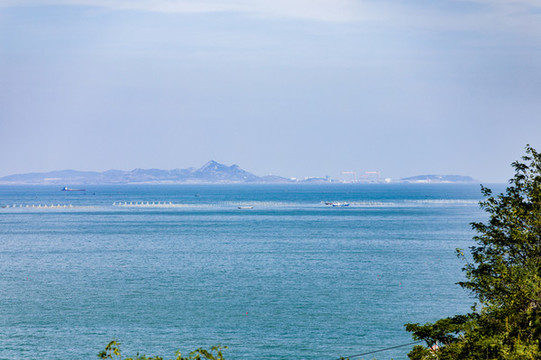 青島嶗山海濱山林植被