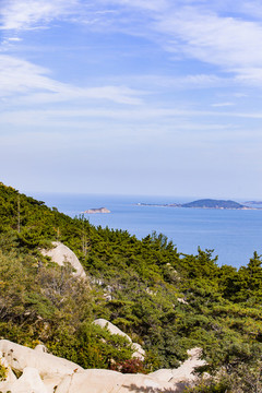 青島嶗山海濱森林植被