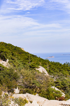 青島嶗山海濱山林植被