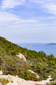 青島嶗山海濱山林植被