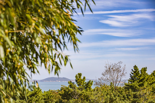 嶗山海濱