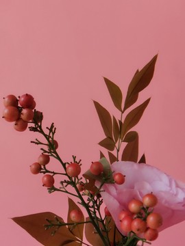 南天竹