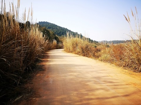山村公路