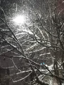 大雪