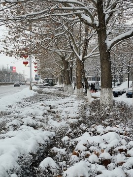 大雪