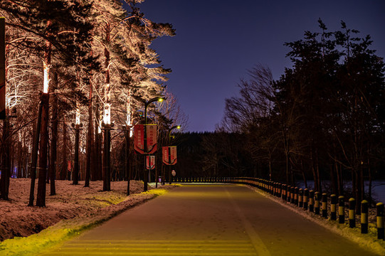 長春凈月潭冰雪世界夜景及光秀