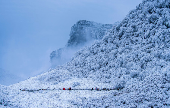 重慶金佛山雪白的童話世界