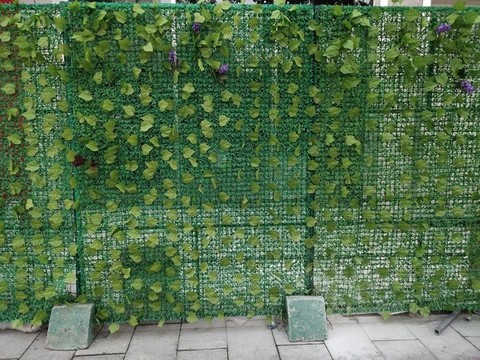 綠植圍檔