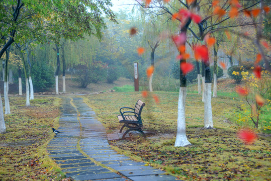 公園長椅