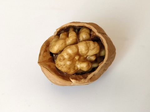 核桃果肉特寫