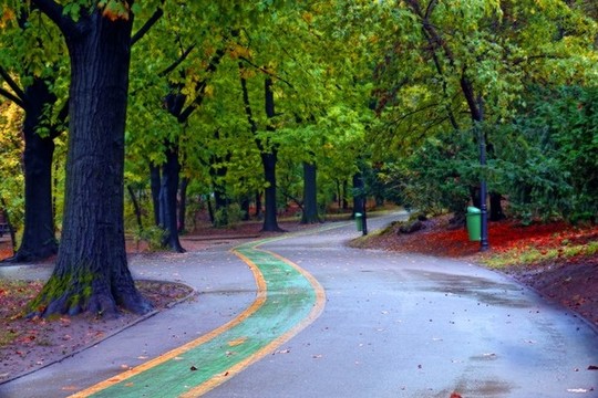 公園一角