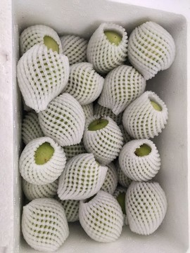 牛奶青棗打包