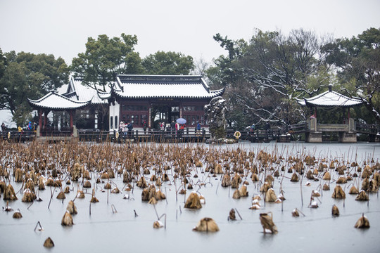 杭州西湖小瀛洲雪韻