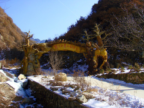 紫云山森林公園
