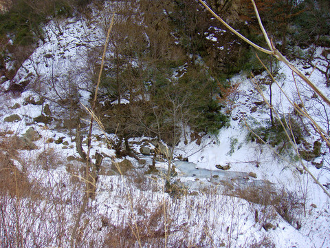 雪林冰河