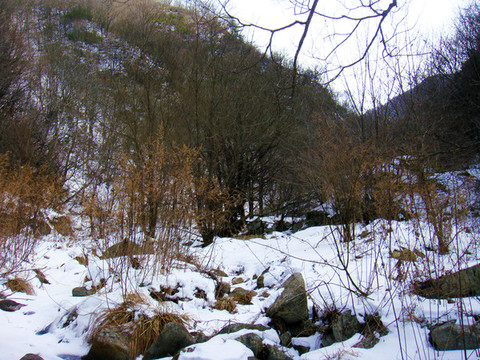 積雪山林