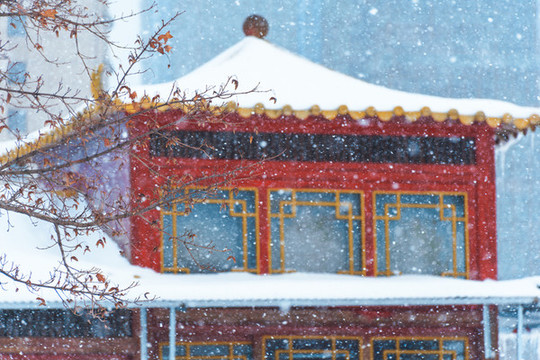 山東榮成十里河公園的雪景與石舫